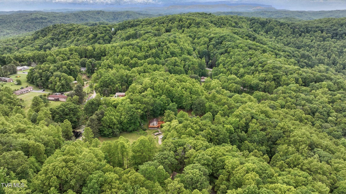 Photo #53: 8466 Courtland Road