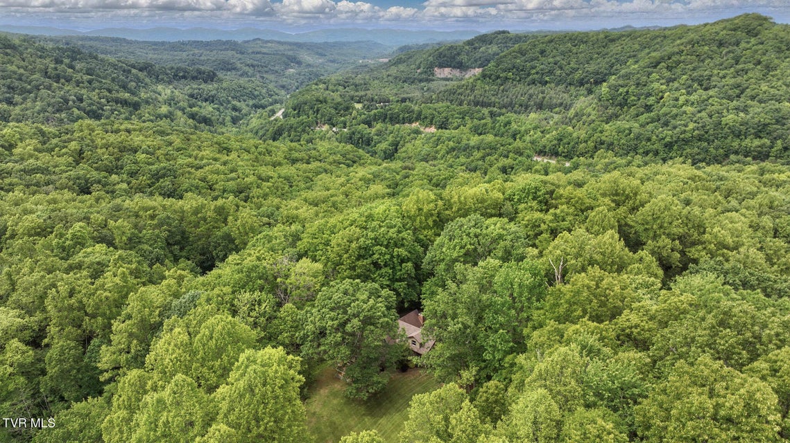 Photo #54: 8466 Courtland Road