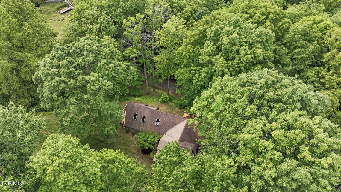 Photo #55: 8466 Courtland Road