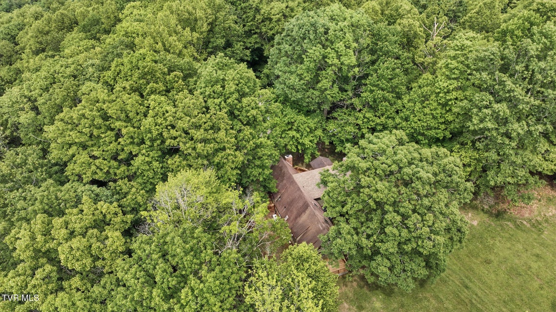 Photo #56: 8466 Courtland Road