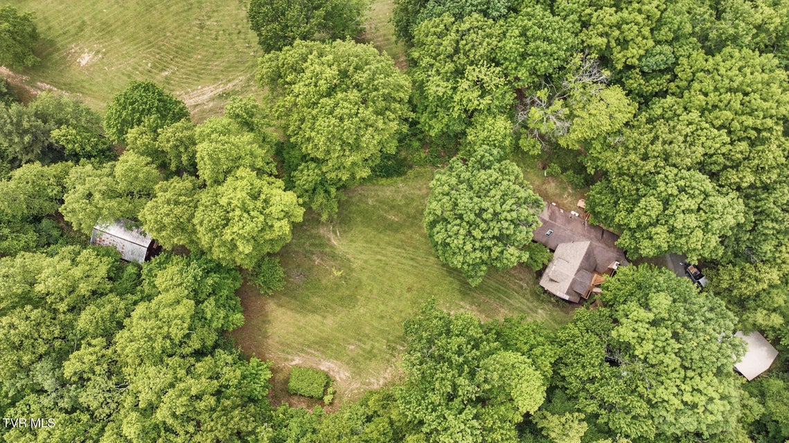 Photo #57: 8466 Courtland Road