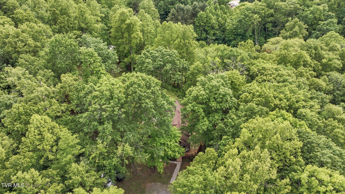 Photo #58: 8466 Courtland Road