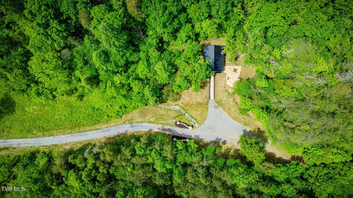 Photo #43: 455 Okey Mowell Road