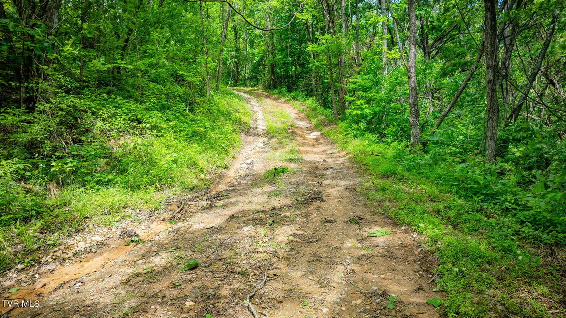 Photo #49: 455 Okey Mowell Road
