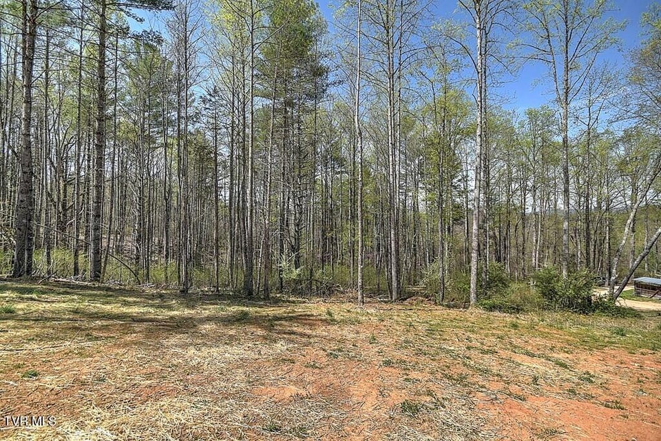 Photo #16: 512 Norris Rd ( Bridle Path) Road