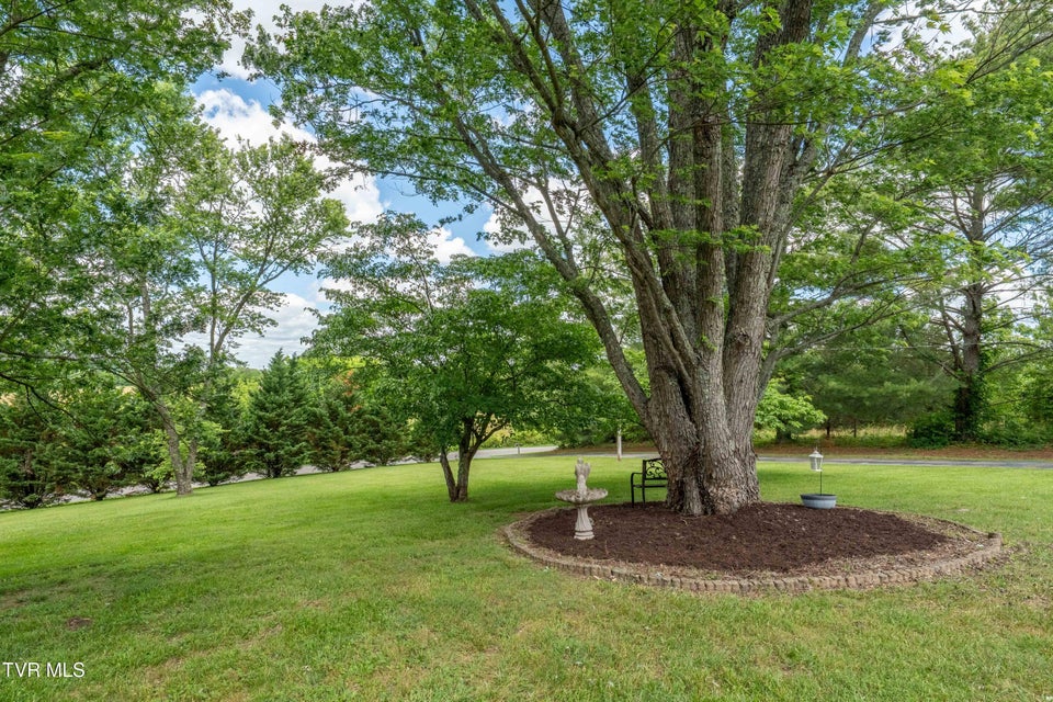 Photo #44: 293 Miller Road