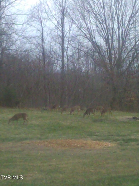 Photo #64: 293 Miller Road