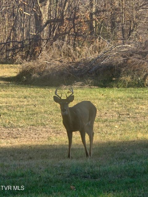 Photo #65: 293 Miller Road