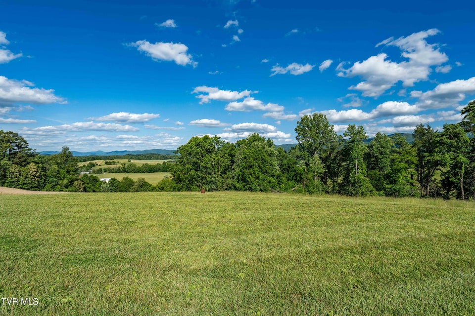 Photo #68: 7540 Erwin Highway