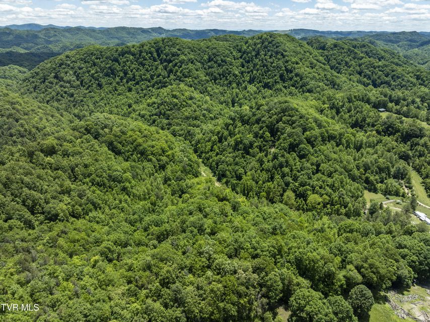 Photo #2: Tbd Lick Creek Drive