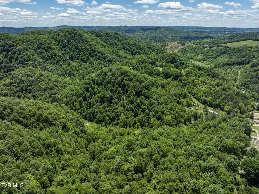 Photo #3: Tbd Lick Creek Drive