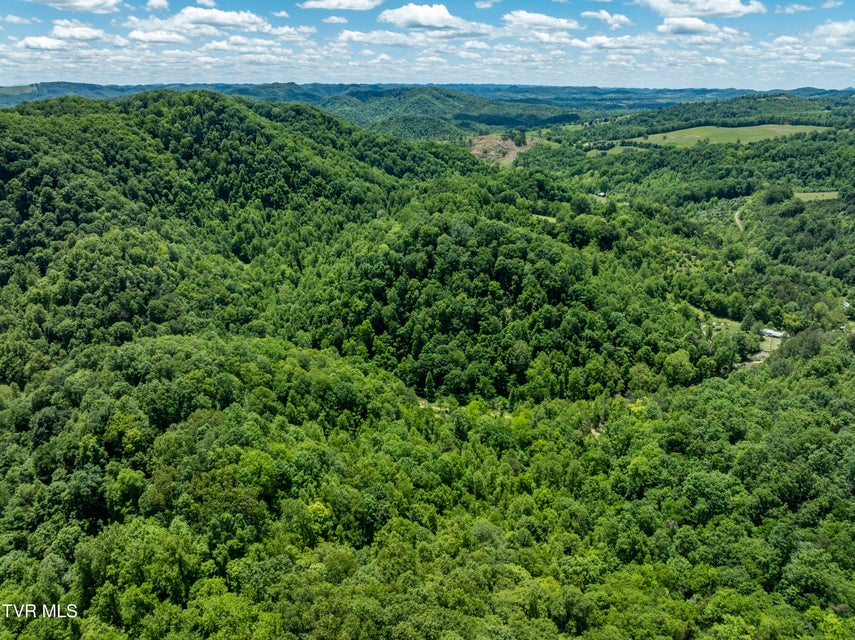 Photo #4: Tbd Lick Creek Drive