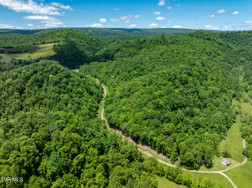 Photo #5: Tbd Lick Creek Drive