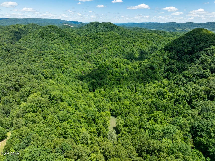 Photo #7: Tbd Lick Creek Drive
