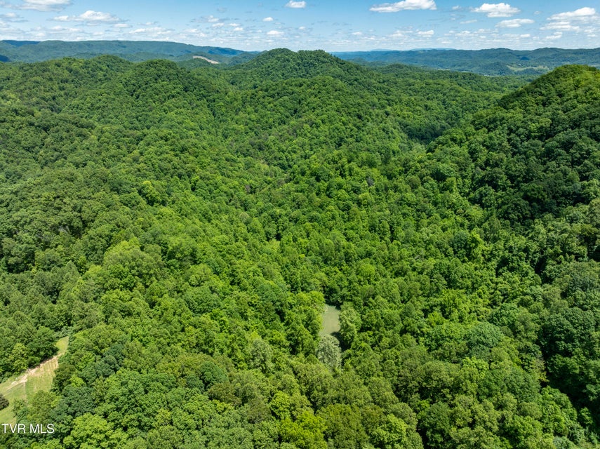 Photo #8: Tbd Lick Creek Drive