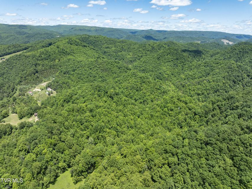 Photo #24: Tbd Lick Creek Drive