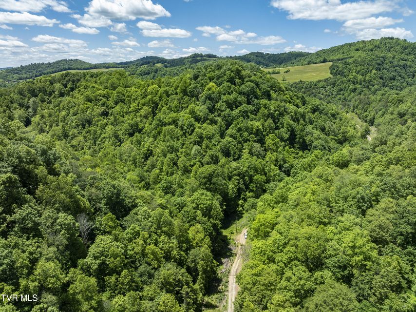 Photo #25: Tbd Lick Creek Drive