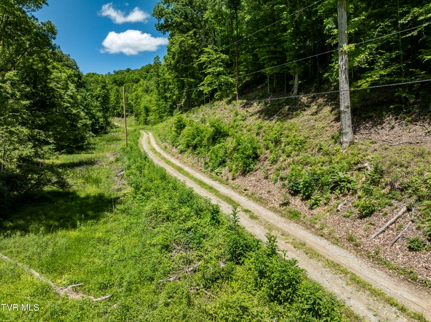 Photo #12: Tbd Lick Creek Drive