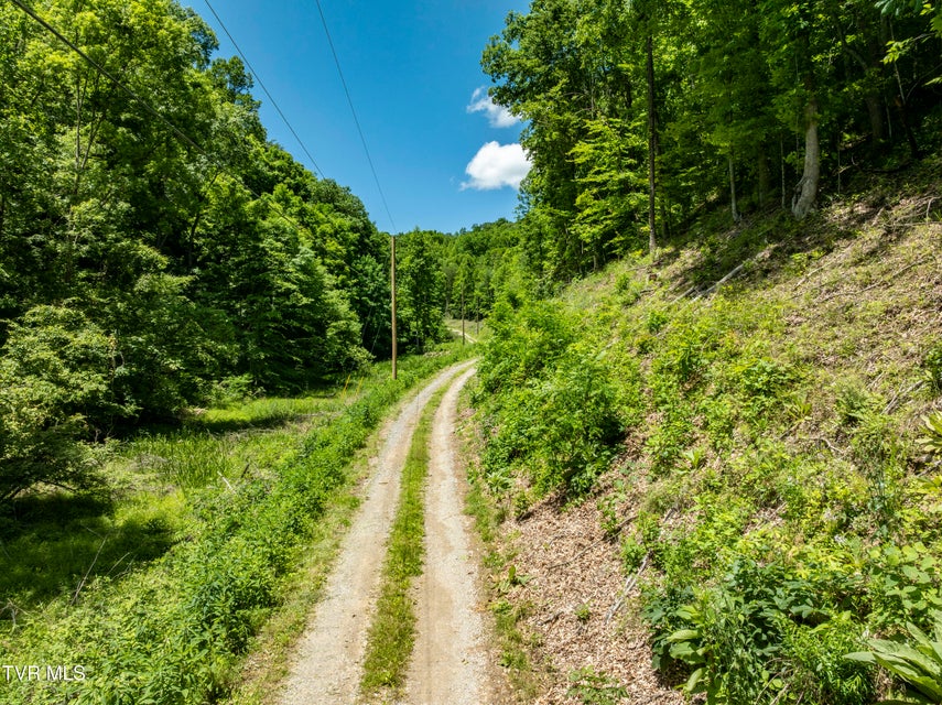 Photo #11: Tbd Lick Creek Drive
