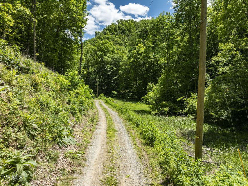 Photo #10: Tbd Lick Creek Drive