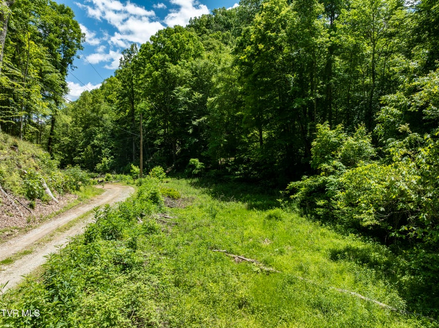 Photo #9: Tbd Lick Creek Drive