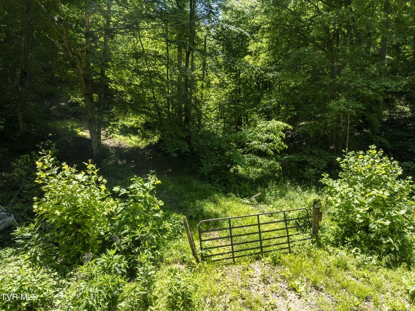 Photo #28: Tbd Lick Creek Drive