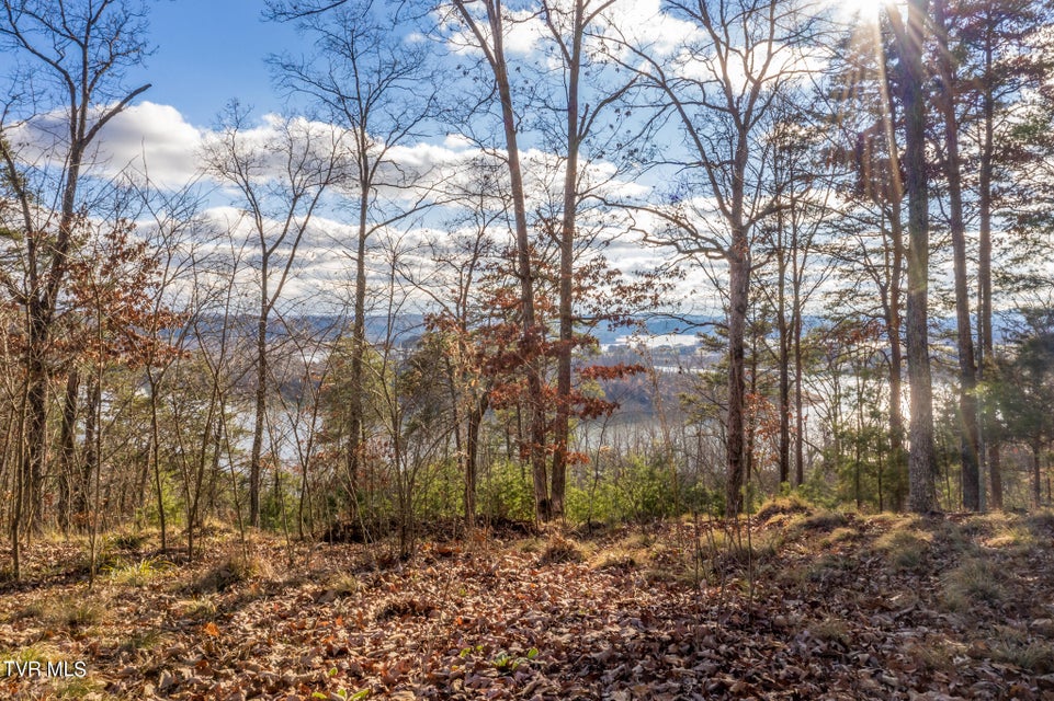 Photo #2: 607 Lakeview Drive