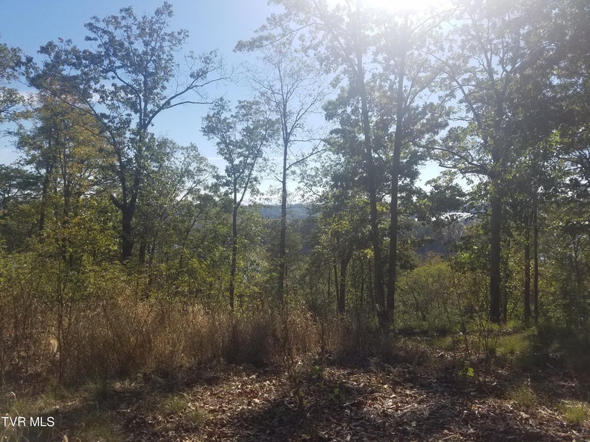 Photo #4: 607 Lakeview Drive
