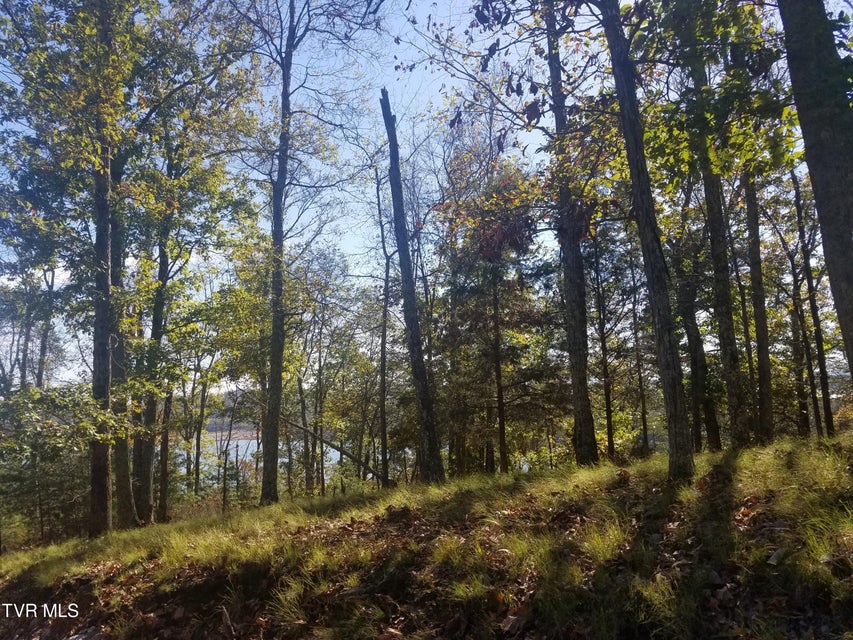 Photo #6: 607 Lakeview Drive