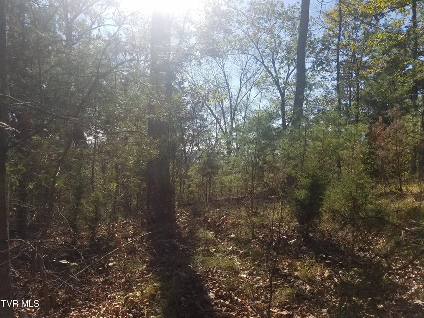 Photo #8: 607 Lakeview Drive