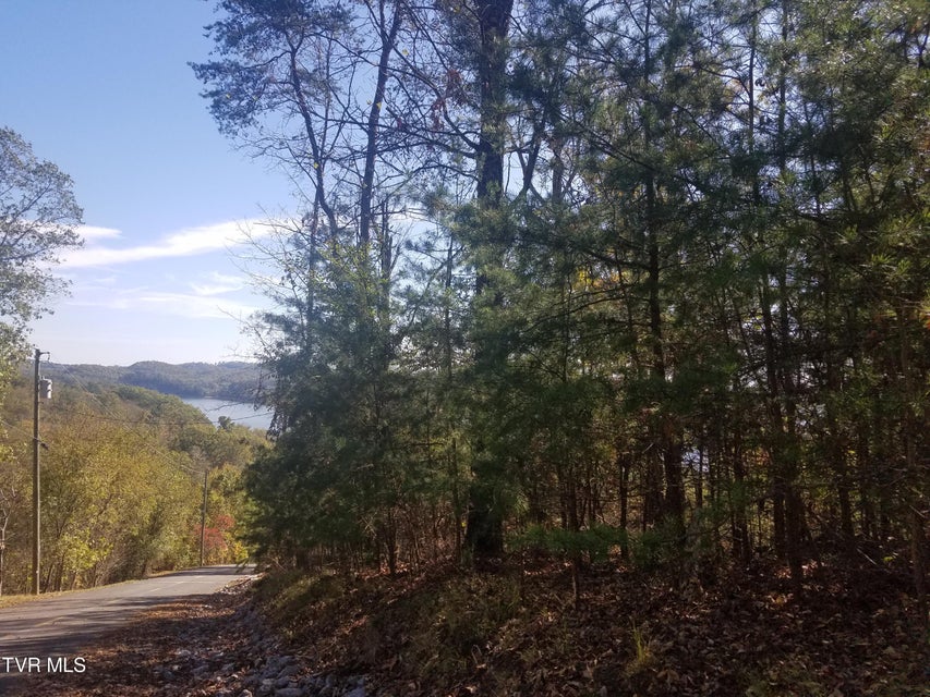 Photo #9: 607 Lakeview Drive