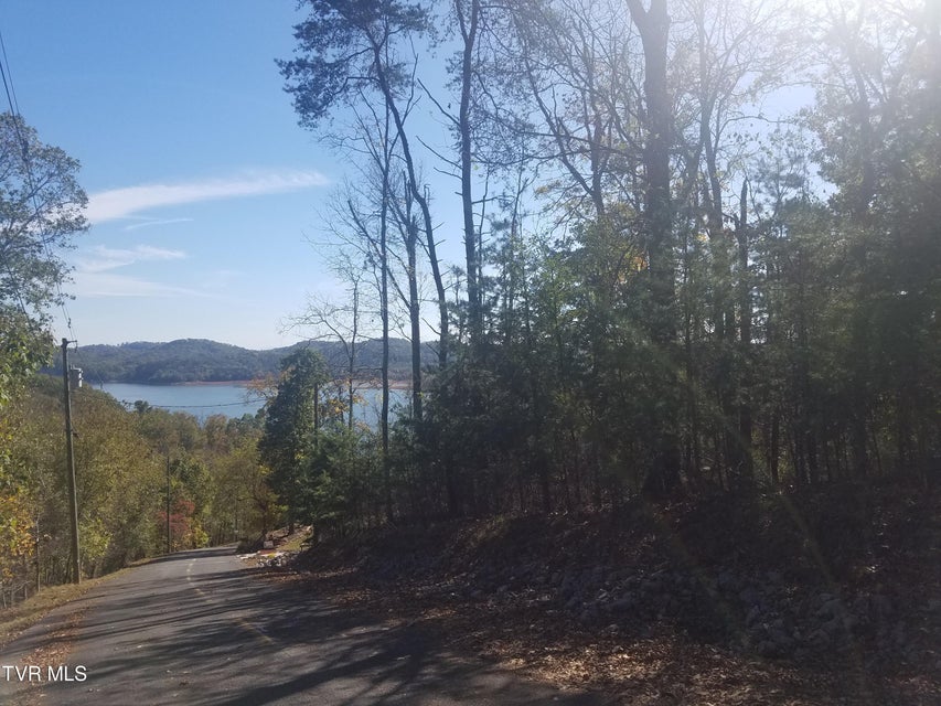 Photo #10: 607 Lakeview Drive