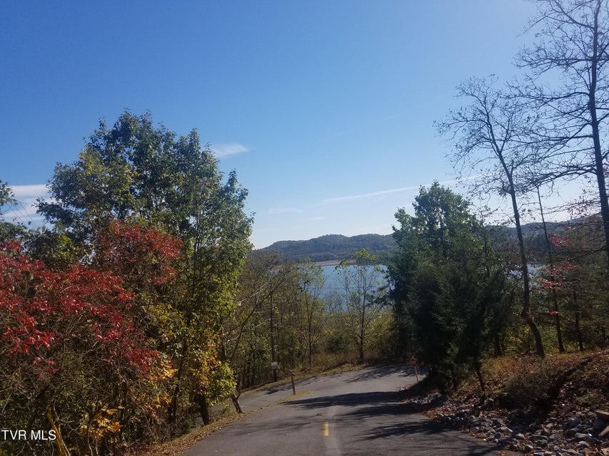 Photo #11: 607 Lakeview Drive