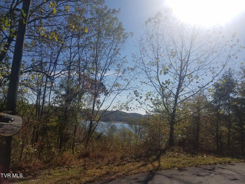 Photo #12: 607 Lakeview Drive