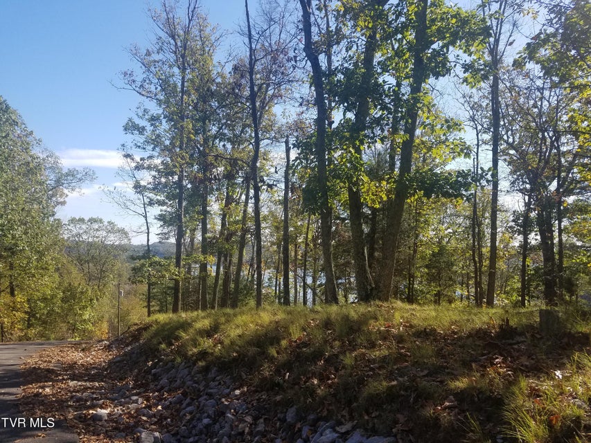 Photo #13: 607 Lakeview Drive