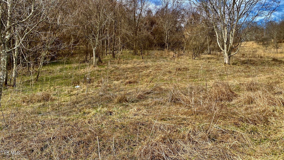 Photo #3: 0 Wndy Drive