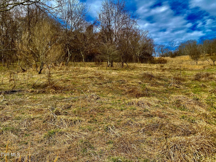 Photo #8: 0 Wndy Drive