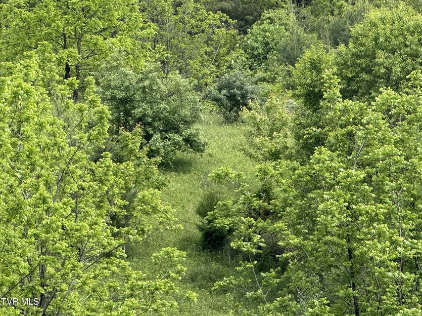 Photo #2: Tbd Johnson Hollow Road
