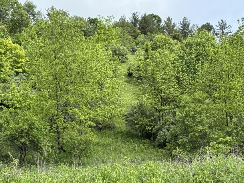 Photo #4: Tbd Johnson Hollow Road