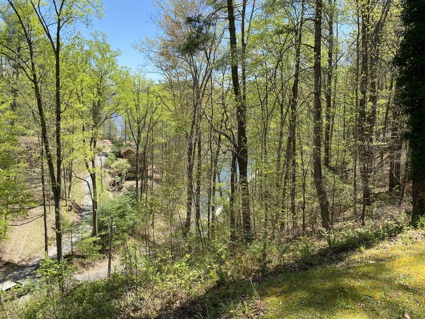 Photo #17: Two Coves Edge Drive