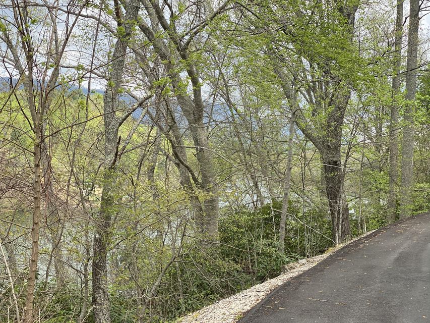 Photo #20: Two Coves Edge Drive