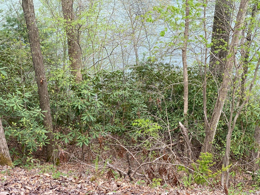 Photo #21: Two Coves Edge Drive