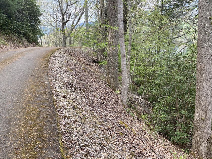 Photo #26: Two Coves Edge Drive