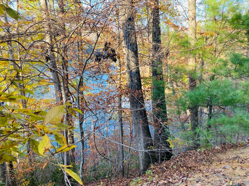 Photo #38: Two Coves Edge Drive