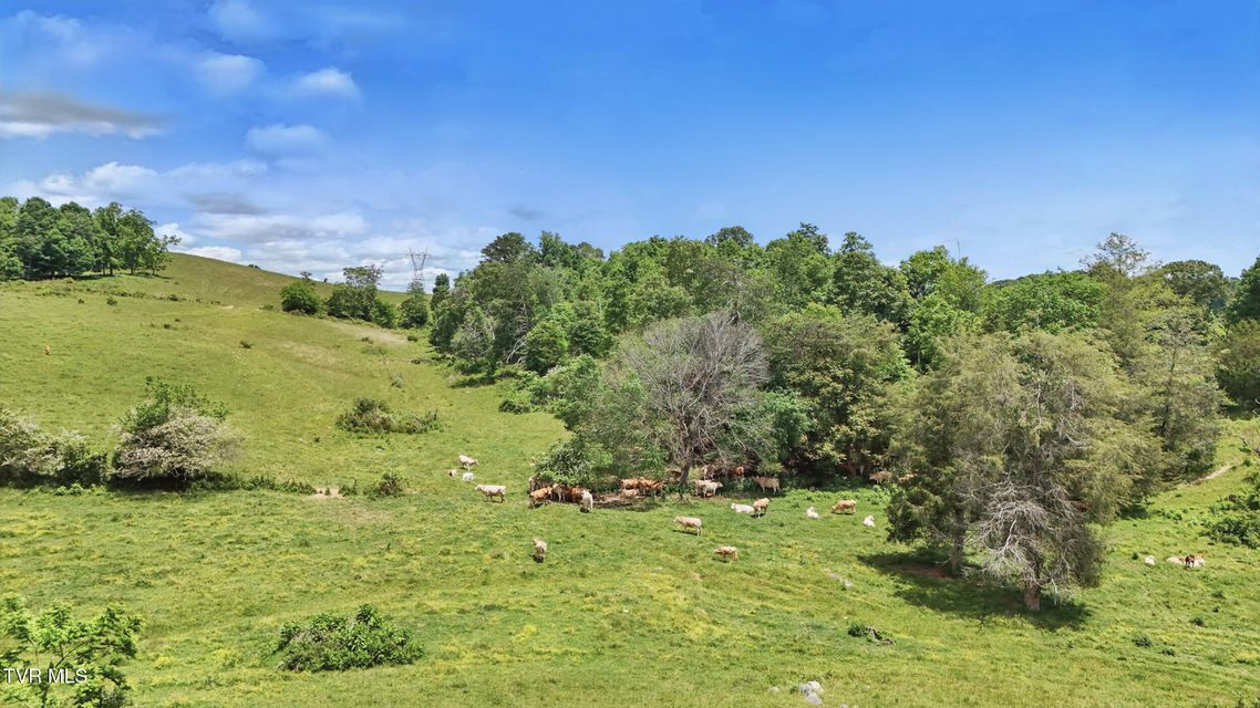 Photo #9: Tbd Old Baxter Road