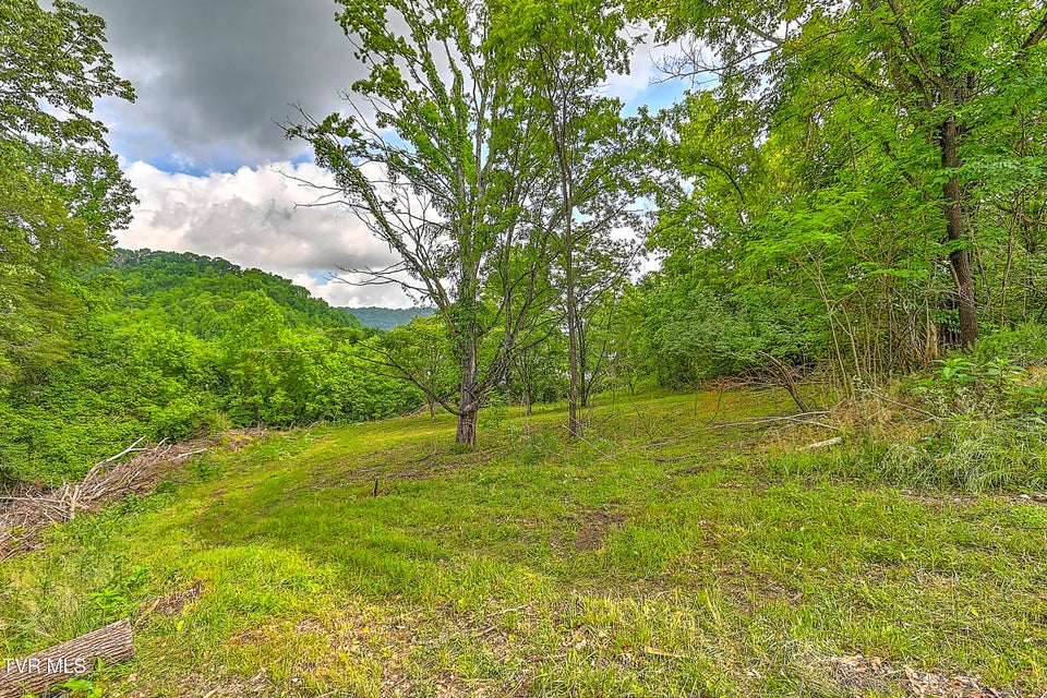 Photo #5: 850 Meadow View Road