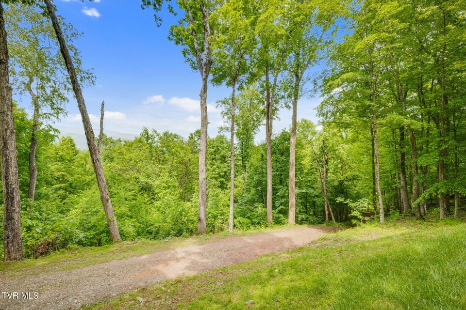 Photo #33: 438 Willow Springs Road