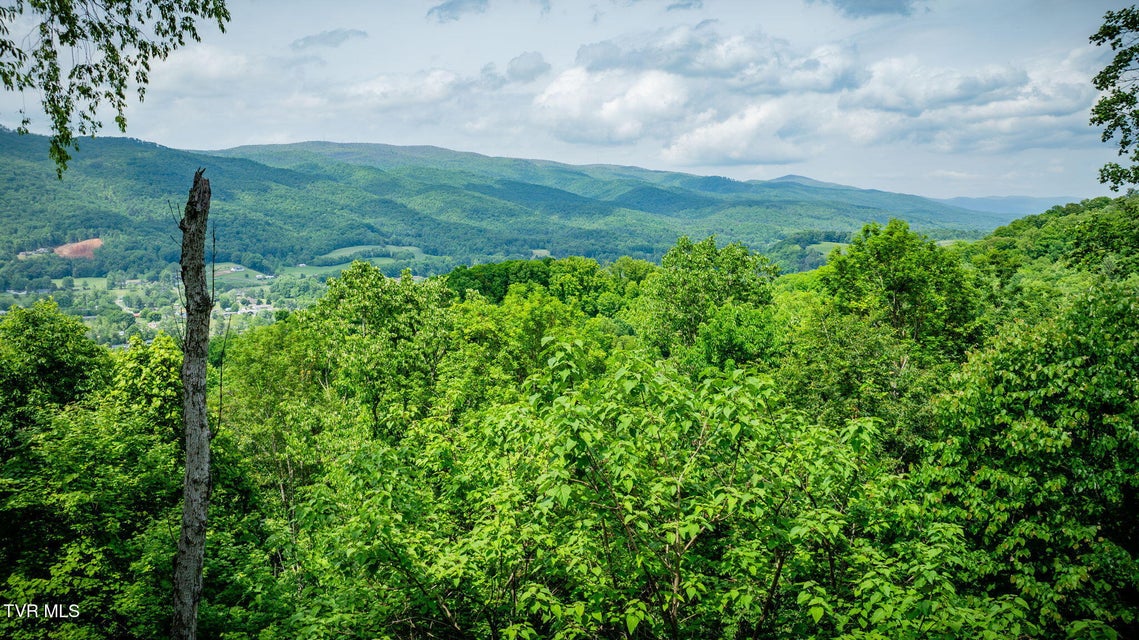 Photo #46: 438 Willow Springs Road
