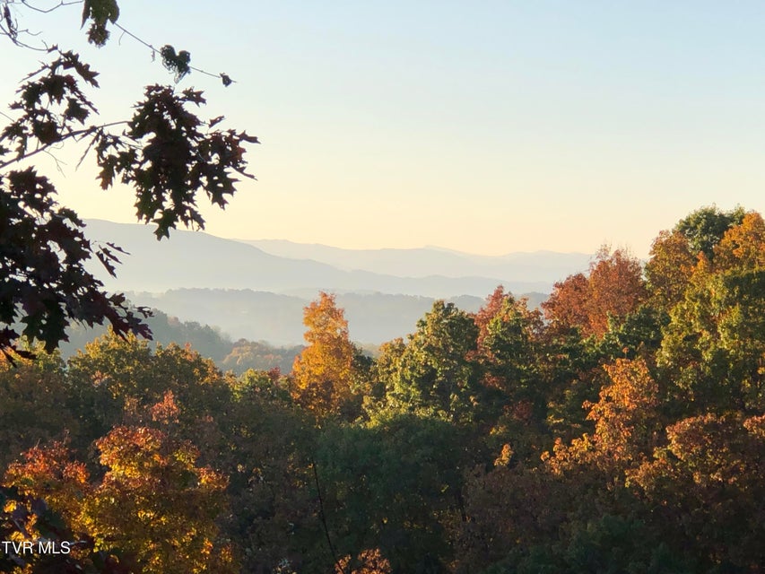 Photo #4: 669 Big Hollow Road