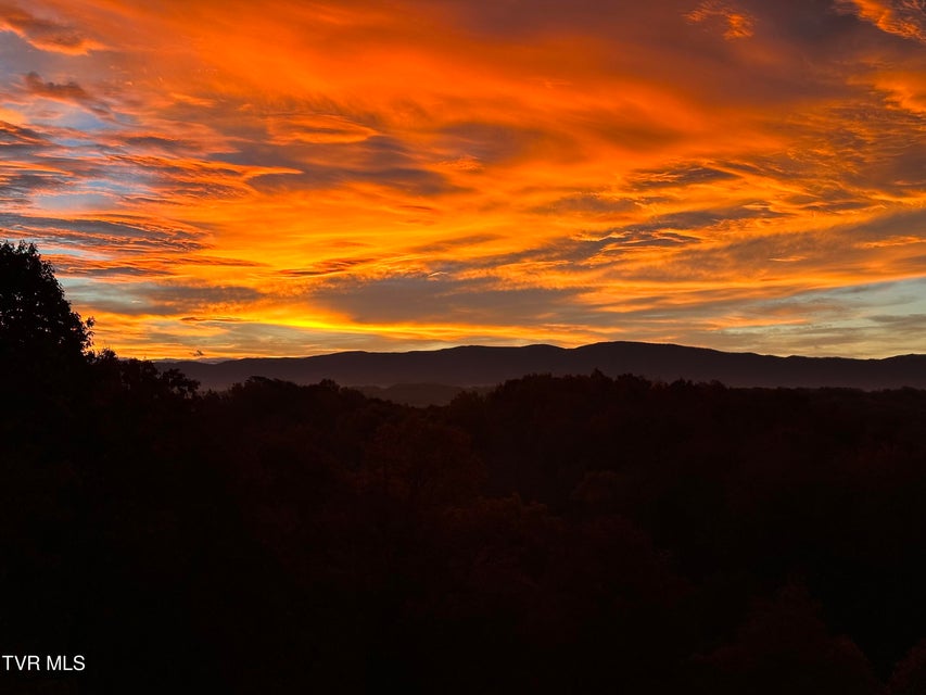 Photo #81: 669 Big Hollow Road